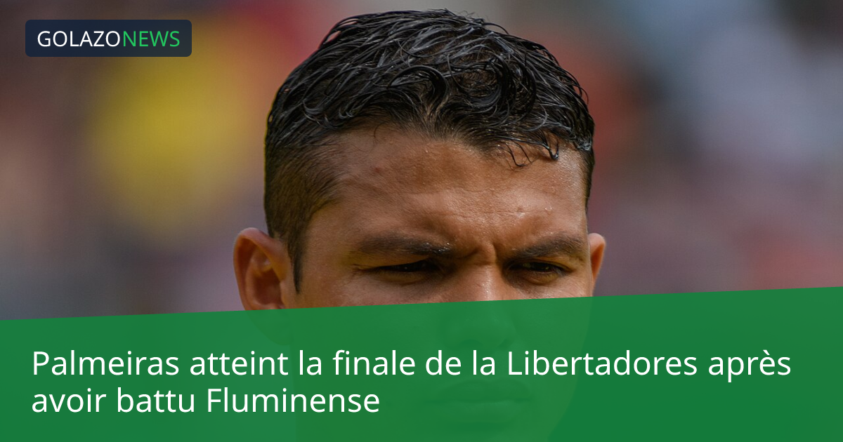 Palmeiras atteint la finale de la Libertadores après avoir battu Fluminense