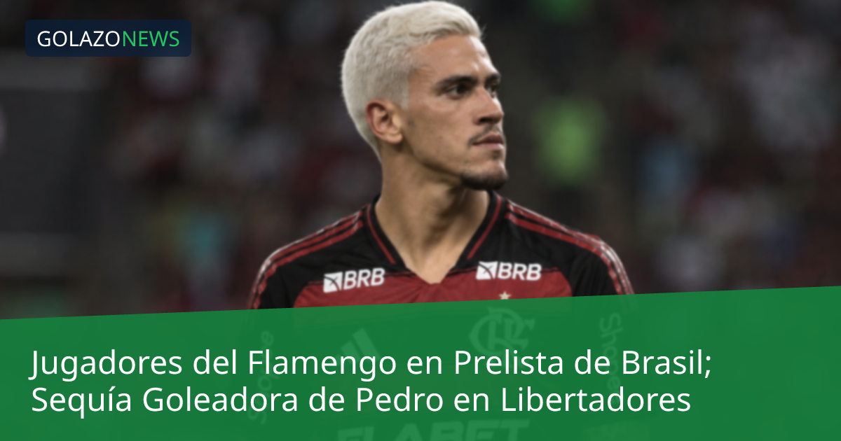 Jugadores del Flamengo en Prelista de Brasil; Sequía Goleadora de Pedro en Libertadores