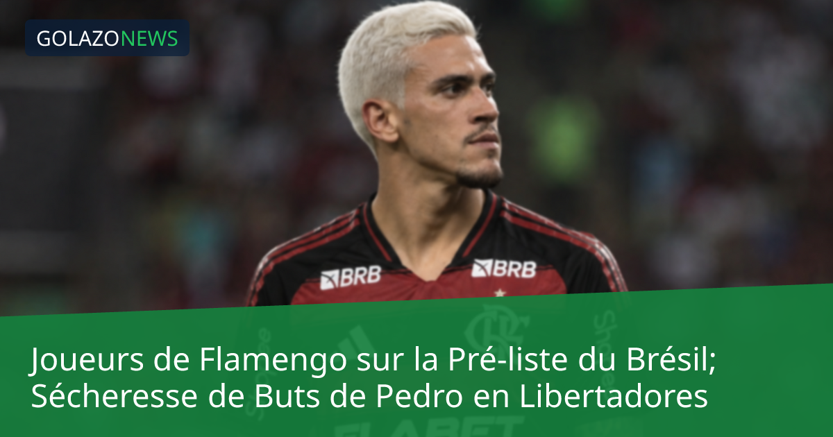 Joueurs de Flamengo sur la Pré-liste du Brésil; Sécheresse de Buts de Pedro en Libertadores