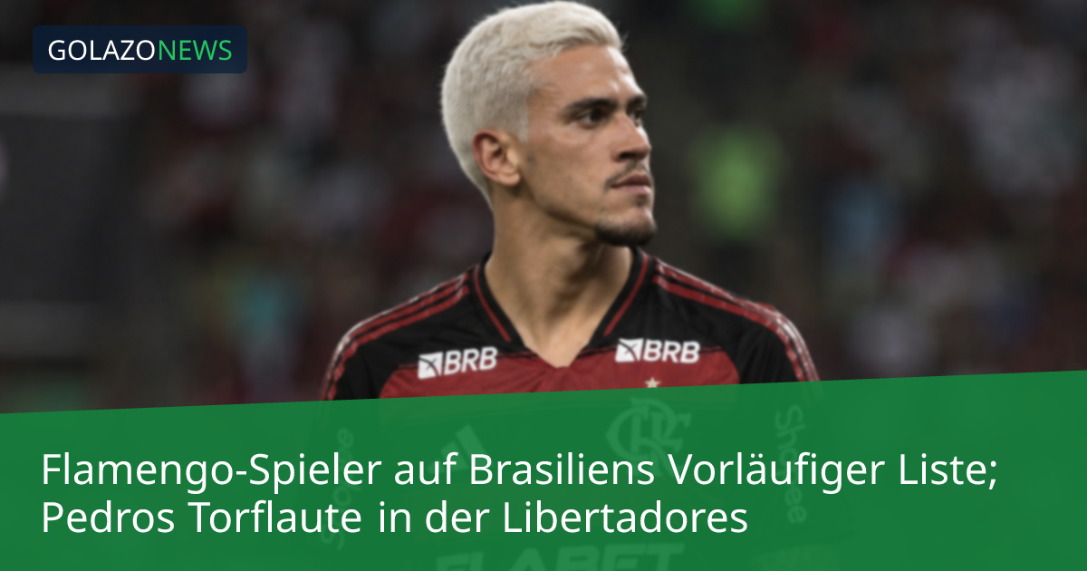 Flamengo-Spieler auf Brasiliens Vorläufiger Liste; Pedros Torflaute in der Libertadores