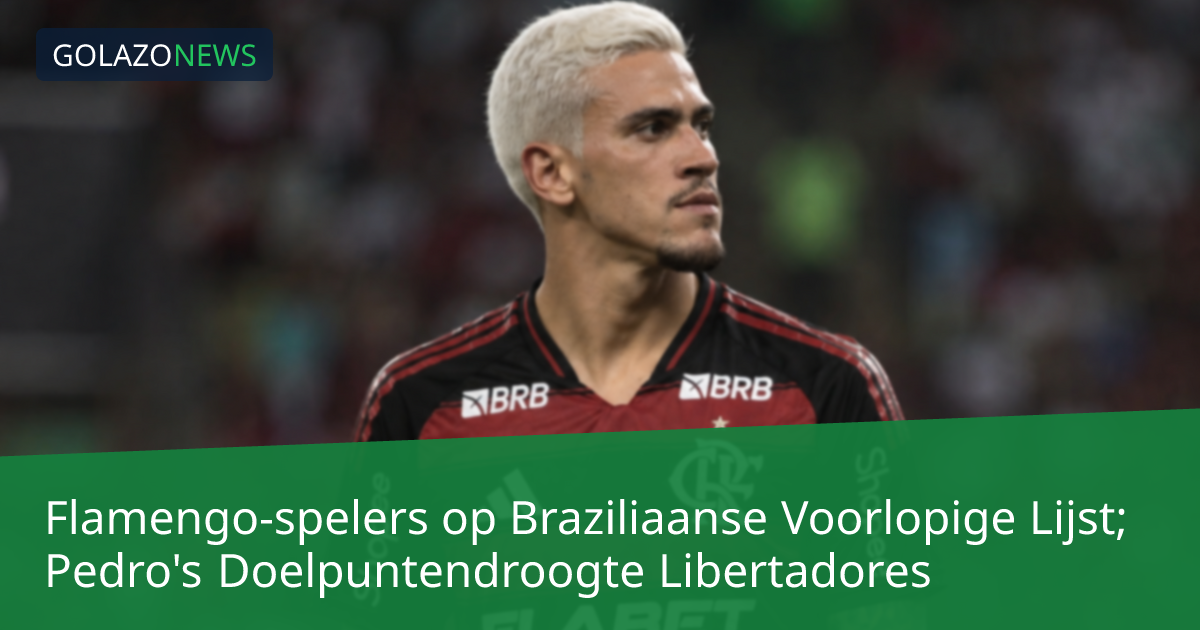 Flamengo-spelers op Braziliaanse Voorlopige Lijst; Pedro's Doelpuntendroogte Libertadores
