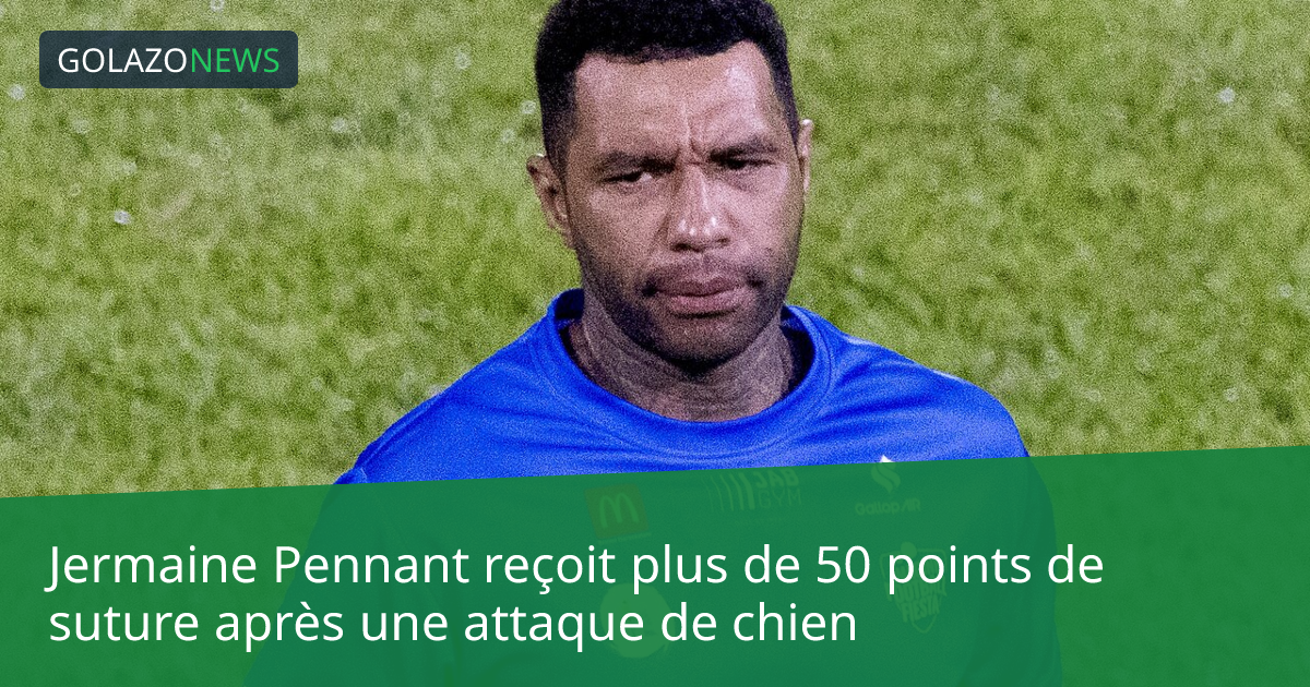 Jermaine Pennant reçoit plus de 50 points de suture après une attaque de chien