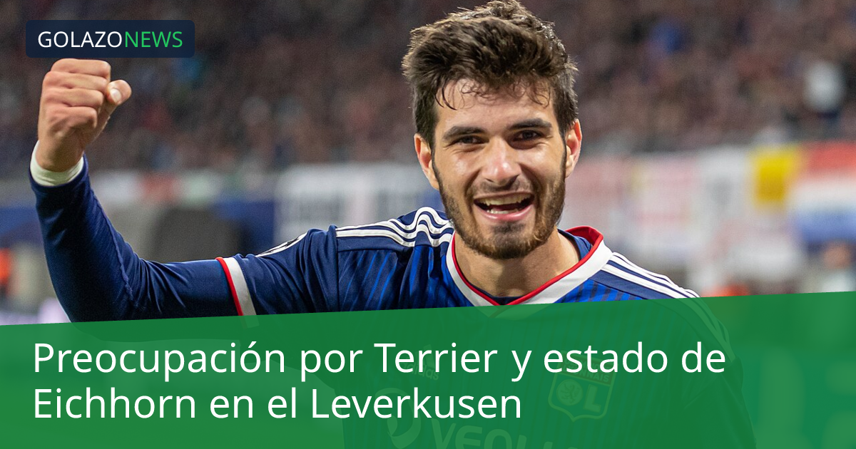 Preocupación por Terrier y estado de Eichhorn en el Leverkusen