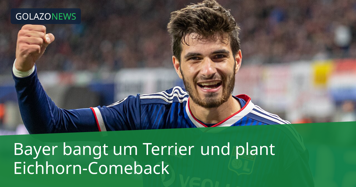 Bayer bangt um Terrier und plant Eichhorn-Comeback