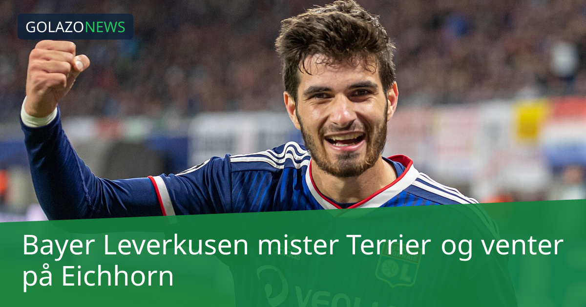 Bayer Leverkusen mister Terrier og venter på Eichhorn